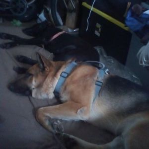 Meet your Posher, Derek